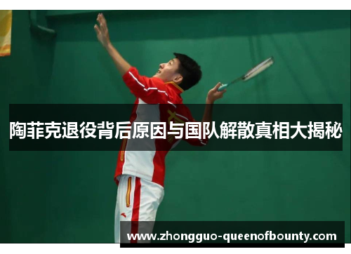 陶菲克退役背后原因与国队解散真相大揭秘